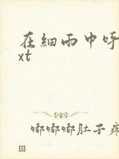 在细雨中呼喊txt封面