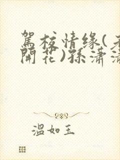 驾校情缘(老树开花)孙潇潇第一次趣笔阁