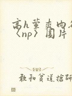 高h荤爽肉欲文〈np〉图片