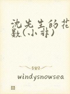 沈先生的花式调数(小非)