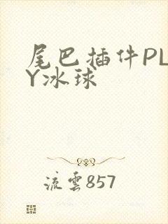 尾巴插件PLAY冰球