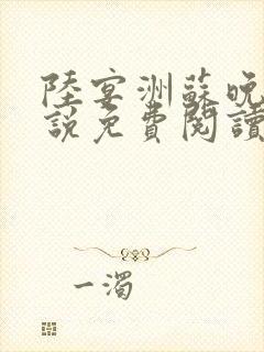 陆宴洲苏晚星小说免费阅读最新章节