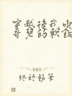 穿越后我吃到了哥儿的软饭炉山灰封面