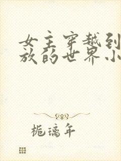 女主穿越到很开放的世界小说封面