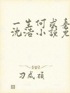 一生何求秦菲雪沈浩小说免费阅读全文笔趣阁