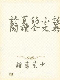 于夏的小说免费阅读全文无弹窗