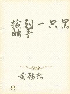 捡到一只黑心小触手封面