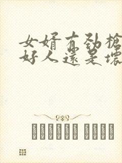 女婿有劲枪枪是好人还是坏人封面