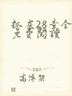 抓灰28章全部免费阅读