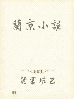 兰京小说