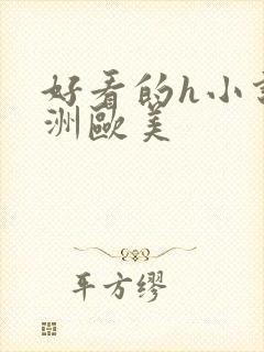 好看的h小说亚洲欧美封面
