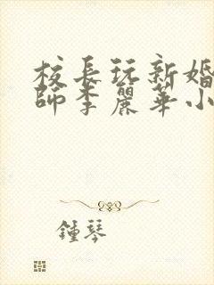 校长玩新婚女教师李丽华小说