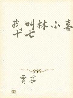 我叫林小喜今年十七