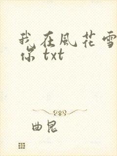 我在风花雪月等你 txt