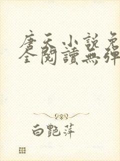 唐天小说免费大全阅读无弹窗