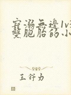 宠溺无边1v3双胞胎的小说