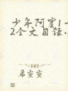 少年阿宾1一72全文目录小说