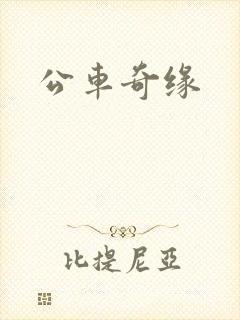 公车奇缘