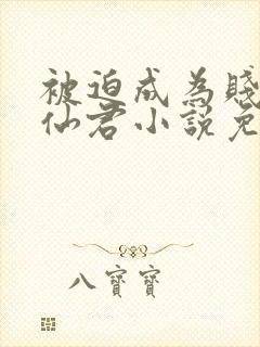 被迫成为贱妾的仙君小说免费阅读最