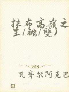 抹布高岭之花(生/触/双)封面