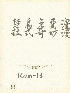 楚乌免费漫画下拉式奇妙漫画