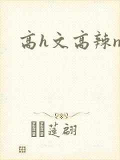 高h文高辣np