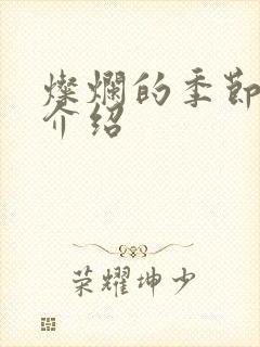 灿烂的季节剧情介绍封面