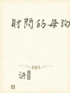 财阀的母狗们封面