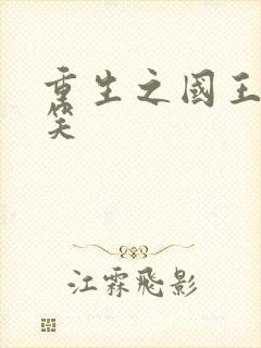 重生之国王的微笑