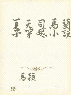 夏天司马兰九皇子穿越小说笔趣阁封面