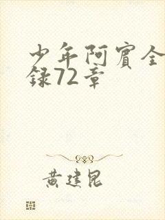 少年阿宾全文目录72章封面