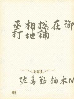 丞相总在御书房打地铺