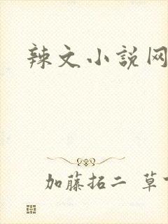 辣文小说网