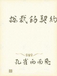 总裁的契约情人