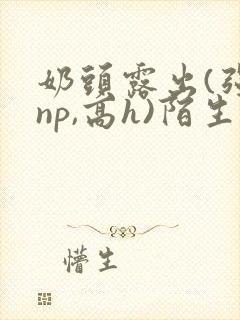 奶头露出(强jnp,高h)陌生人小说小说