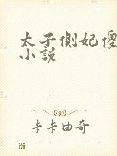 太子侧妃傻乎乎小说