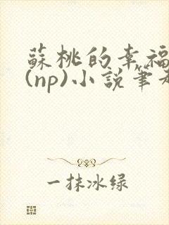 苏桃的幸福生活(np)小说笔趣阁