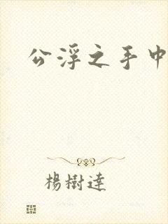 公浮之手中字5
