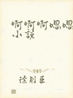 啊啊啊嗯嗯嗯h小说