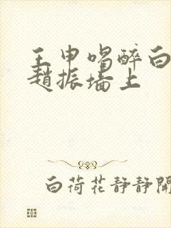 王申喝醉白洁被赵振墙上