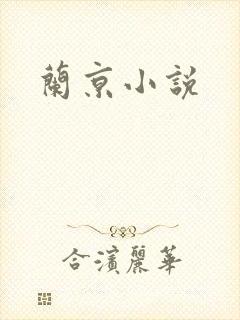 兰京小说