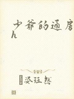 少爷的通房丫鬟h