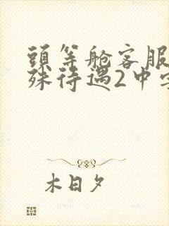 头等舱客服的特殊待遇2中字