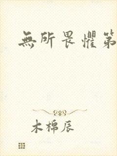 无所畏惧第二部