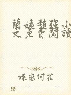 兰姨赵强小说全文免费阅读封面