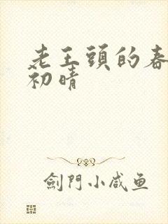 老王头的春天林初晴