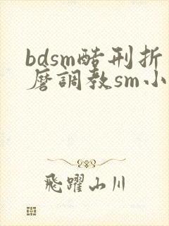 bdsm酷刑折磨调教sm小说