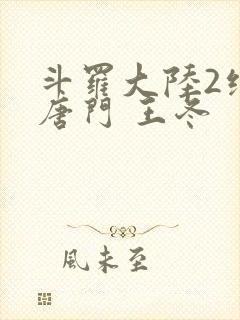 斗罗大陆2绝世唐门 王冬封面