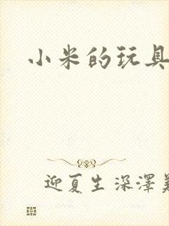 小米的玩具日记