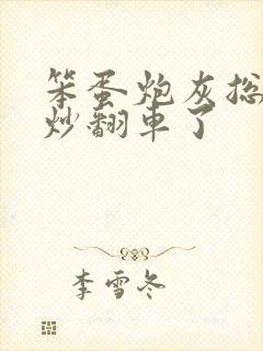 笨蛋炮灰总被爆炒翻车了